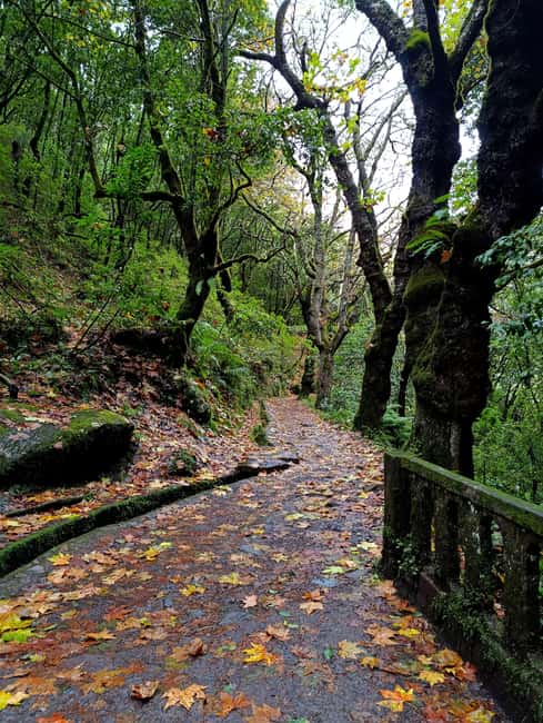 Madeira: East Side Tour - Santana and the Traditional Madeiran Houses