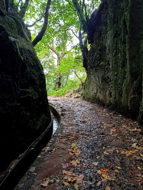 Madeira: East Side Tour - Comfort and Personalization in a Small Group Setting