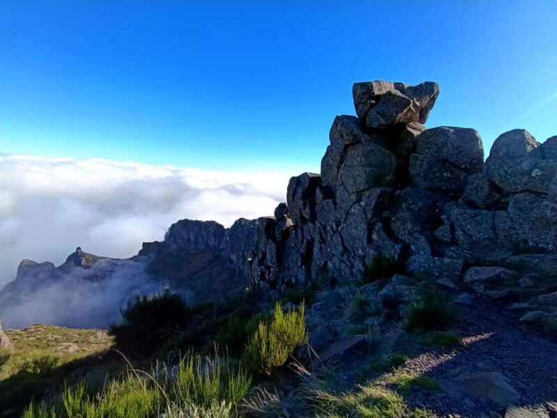 Madeira: East Side Tour - Practical Details and Booking Flexibility