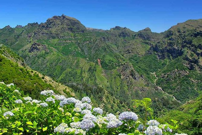 Madeira East Tour from Funchal - Lunch Break in Santana’s Colorful Village