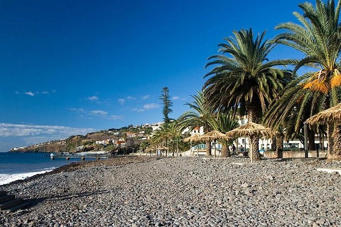 Madeira East Tour from Funchal - Ponta de São Lourenço: Dramatic Coastal Vistas