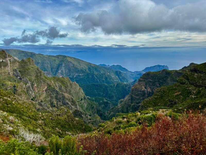 Madeira : East Tour - Santana North Side - Santana’s Traditional Thatched Houses