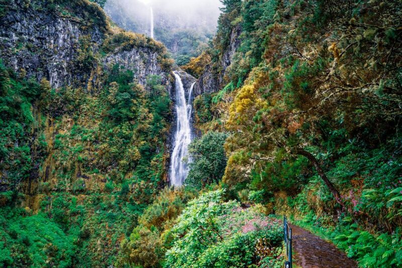 Madeira: Enjoy a Guided Levada Walk in the Rabaçal Valley - Key Points
