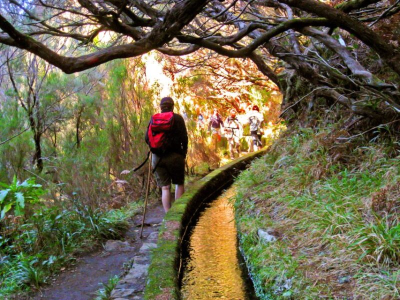 Madeira: Enjoy a Guided Levada Walk in the Rabaçal Valley - End of the Walk at the Waterfalls and Lagoons