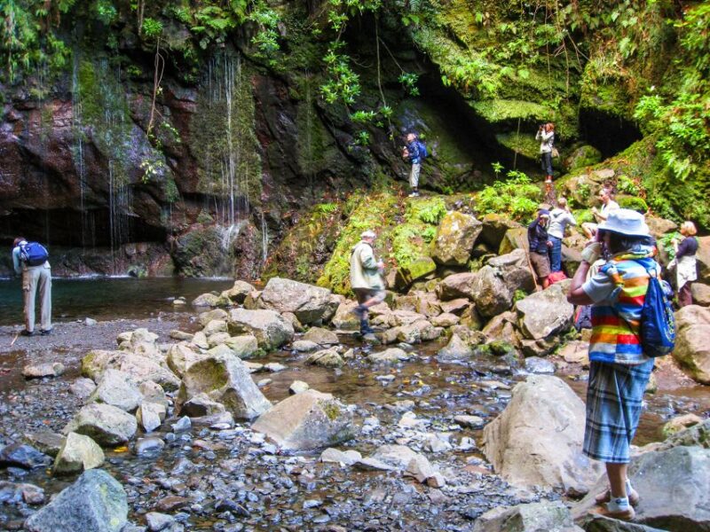 Madeira: Enjoy a Guided Levada Walk in the Rabaçal Valley - Who Will Enjoy This Tour the Most