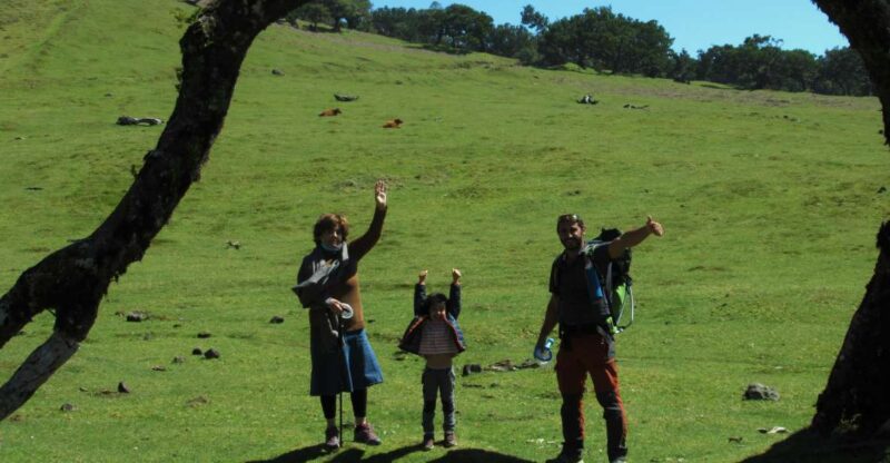 Madeira: Fanal Forest Guided Hiking Tour - Explore Madeira’s Oldest Forests with a Guided Fanal Hike