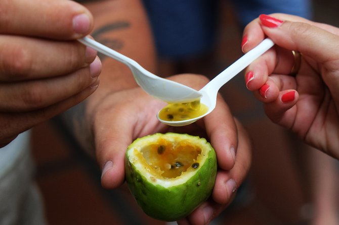 Madeira Food, Wine & Cultural Tour - The Start Point in São Martinho, Funchal