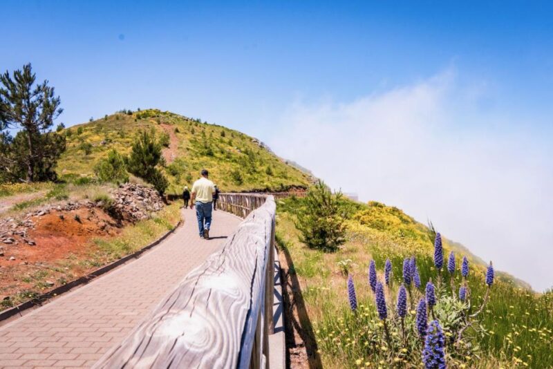 Madeira : Full Day Adult only East 4x4 Tour - Discover the Scenic Heights at Pico do Areiro
