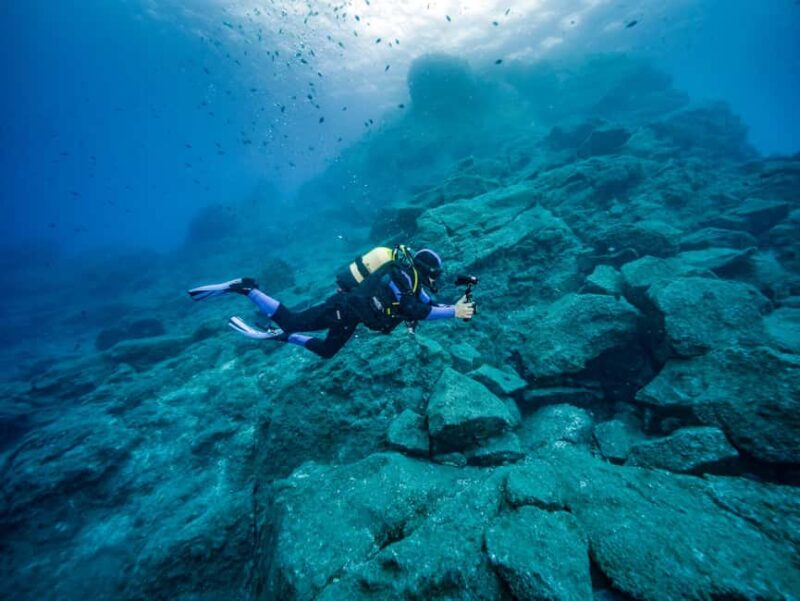 Madeira: Full-Day Dive Pack - Exploring Canical: First Dive Spot