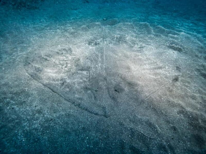 Madeira: Full-Day Dive Pack - The Scenic Boat Tour Along Madeira’s Coastline