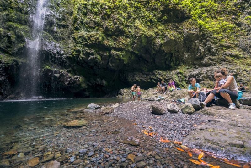 Madeira: Full-Day Laurel Forest Guided Walking Tour - Reaching the Spectacular Caldeirão Verde Waterfall