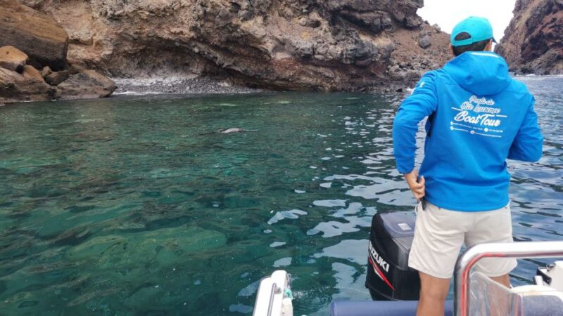 Madeira: Full-Day of Activities in Ponta de São Lourenço - Logistics: Meeting Point, Transportation, and Group Size