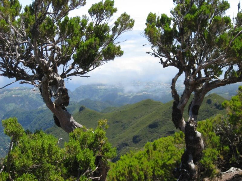 Madeira: Full-Day Pico Ruivo / Achada do Teixeira Walk - Practical Tips for the Hike