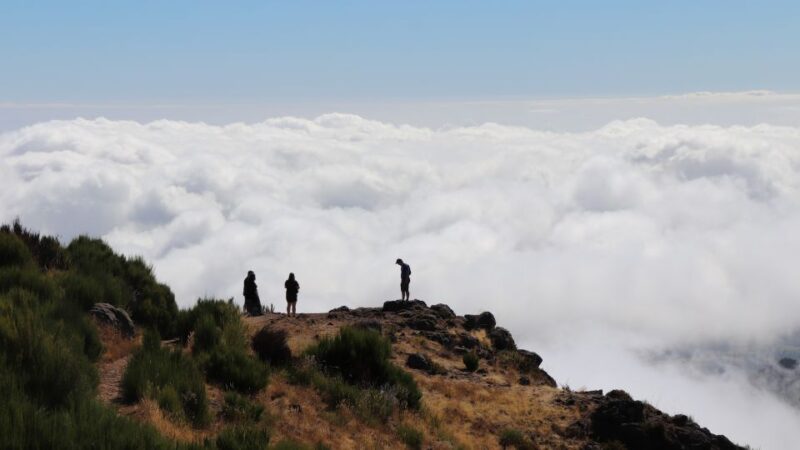 Madeira: Full Day Private Jeep Tour East or West - Highlights of the Eastern Madeira Route