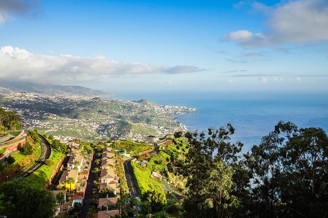 Madeira Full Day Tour West and East Island Top Highlights Tour - Final Stop in Funchal and Tour Reflection