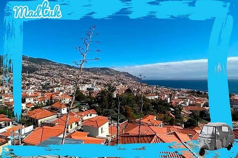 Madeira: Funchal City Historical Tuk Tour Guided by MadTuk - Limitations and Accessibility