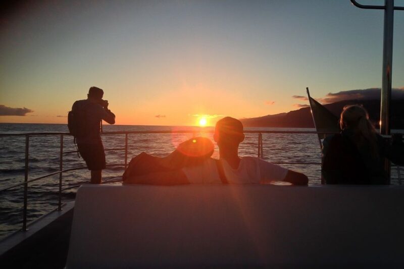 Madeira: Funchal Sunset Tour by Catamaran - Madeira: Funchal Sunset Tour by Catamaran