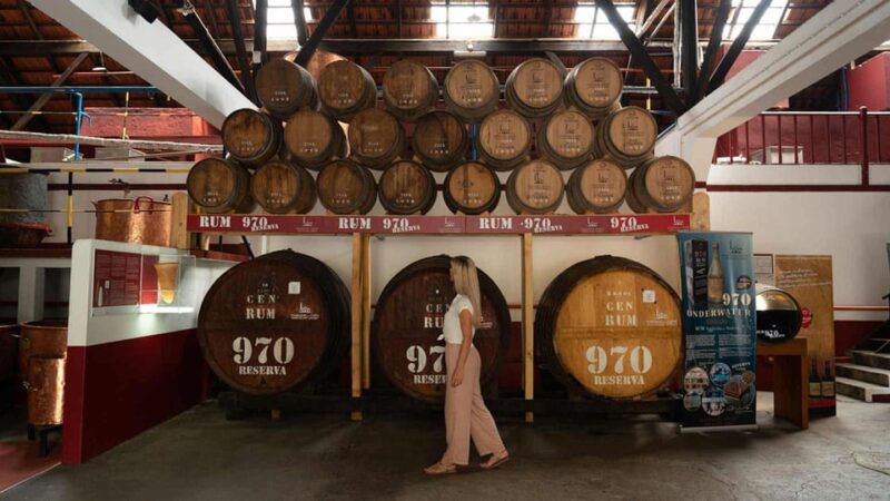 Madeira Funchal:East Tour Pico Arieiro & Santana&Laurissilva - Value and Additional Information