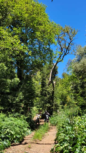 Madeira: Guided Enduro Dirt-Bike Adventure Tour - Professional Guides and Coaching for All Levels