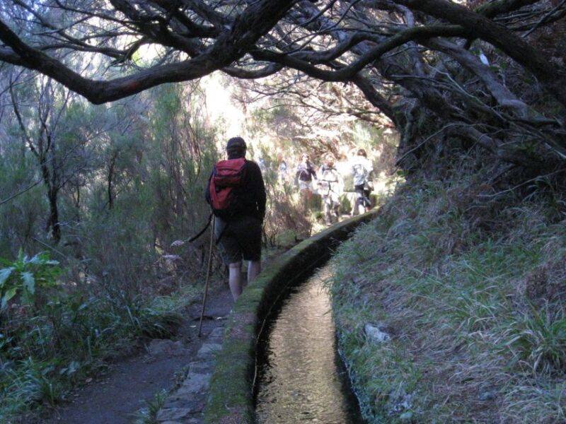 Madeira: Guided Full-Day Rabaçal Walk - Journey from the Paúl da Serra Plateau to the Rabaçal Waterfalls