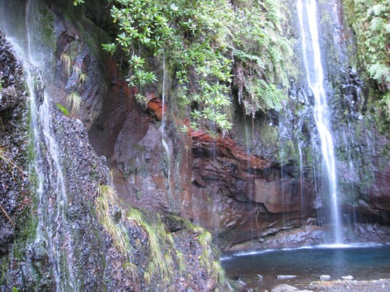 Madeira: Guided Full-Day Rabaçal Walk - Who Would Enjoy This Tour Most?