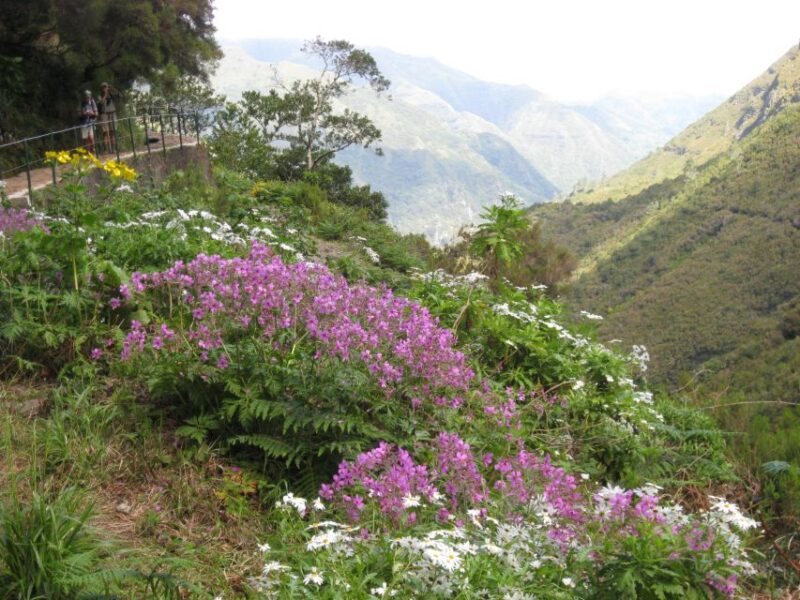 Madeira: Guided Full-Day Rabaçal Walk - Frequently Asked Questions