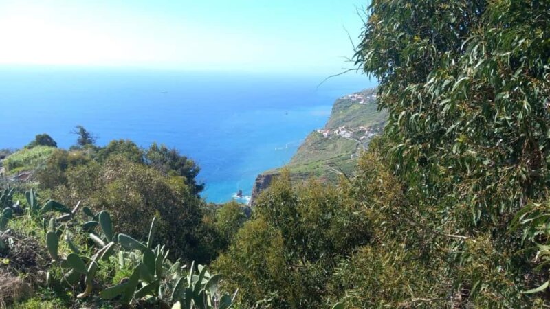Madeira: Guided Wine Tasting and Scenic Walk - Discover Madeira’s Vineyards and Coastal Views on a Guided Walk and Wine Tasting