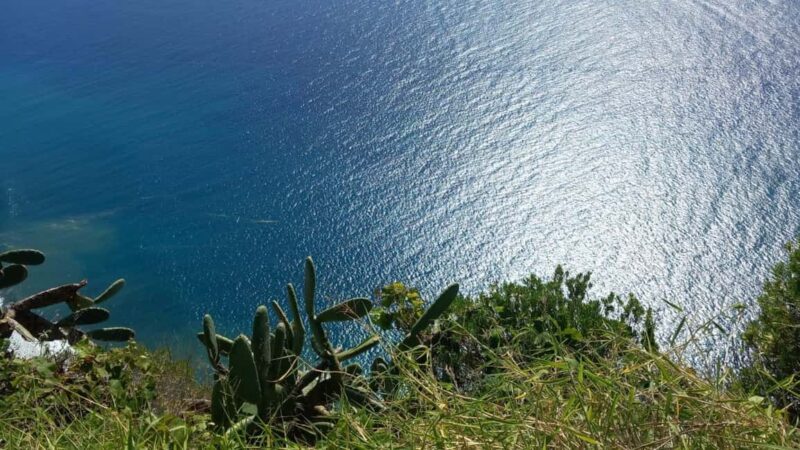 Madeira: Guided Wine Tasting and Scenic Walk - Enjoying the Madeira Wine and Honey Cake Tasting