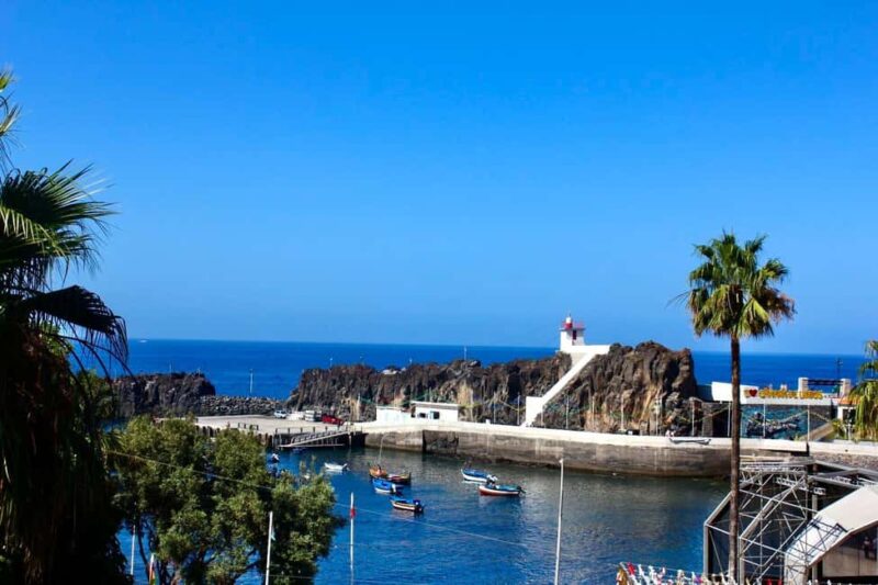 Madeira: Half-Day 4x4 Highlights Tour for Cruise Passengers - Unique Off-Road Experiences and Scenic Trails