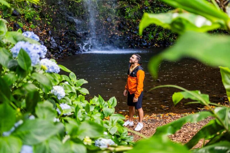 Madeira: Half-Day Guided Photo Tour - Ribeiro Frio: A Serene 1-Hour Photo Stop in Nature