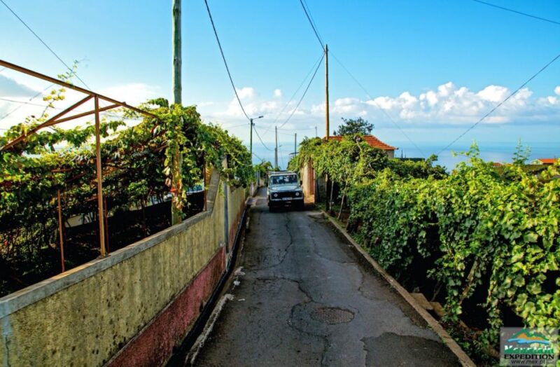 Madeira: Half-Day Nun's Valley and Sea Cliff Tour - Madeira: Half-Day Nuns Valley and Sea Cliff Tour