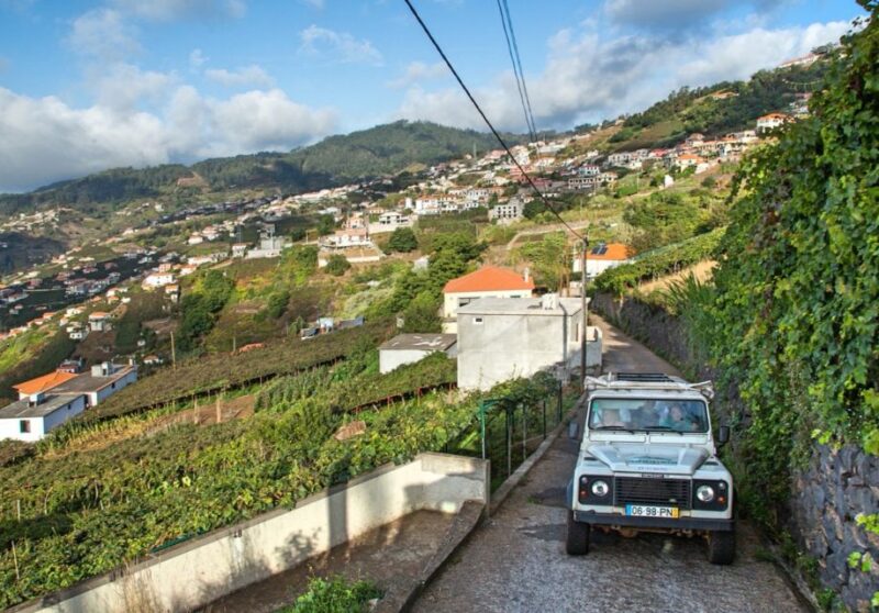 Madeira: Half-Day Nun's Valley and Sea Cliff Tour - The Iconic Cabo Girao Cliff