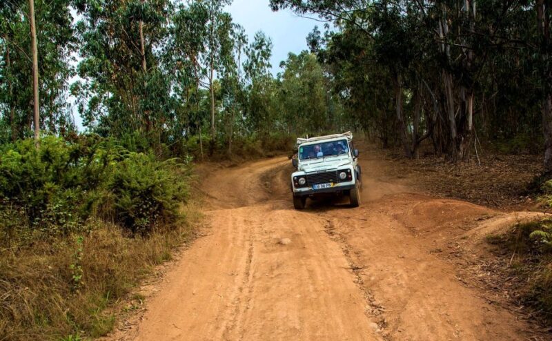 Madeira: Half-Day Nun's Valley and Sea Cliff Tour - Enjoying Madeira’s Coastal Views from a Local Bar