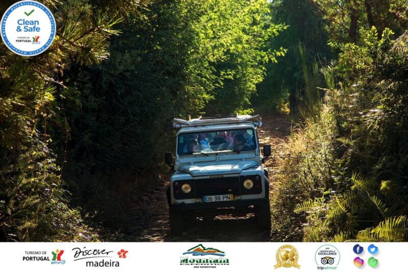 Madeira: Half-Day Nun's Valley and Sea Cliff Tour - The Guide Experience and Multilingual Support