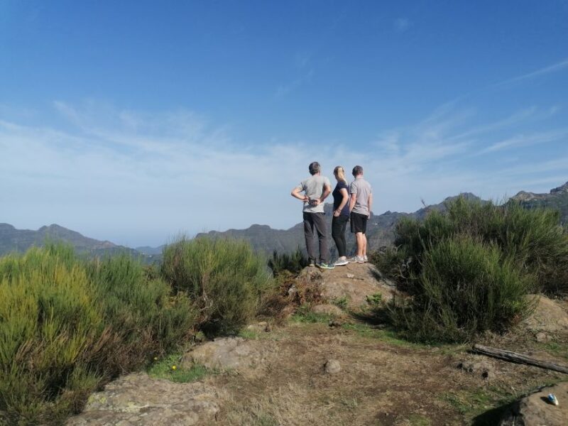 Madeira: Half-Day Off-Road Buggy Tour - The Fun Behind the Wheel and the Safety Measures