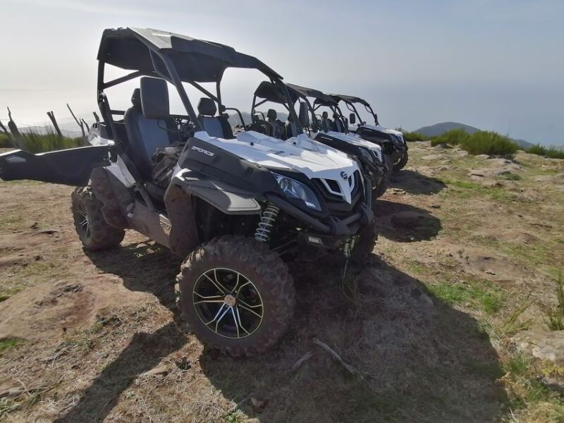 Madeira: Half-Day Off-Road Buggy Tour - The Guide’s Role: Knowledge, Fun, and Safety