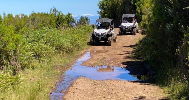 Madeira: Half-Day Off-Road Buggy Tour - Who Should Consider This Off-Road Buggy Tour?