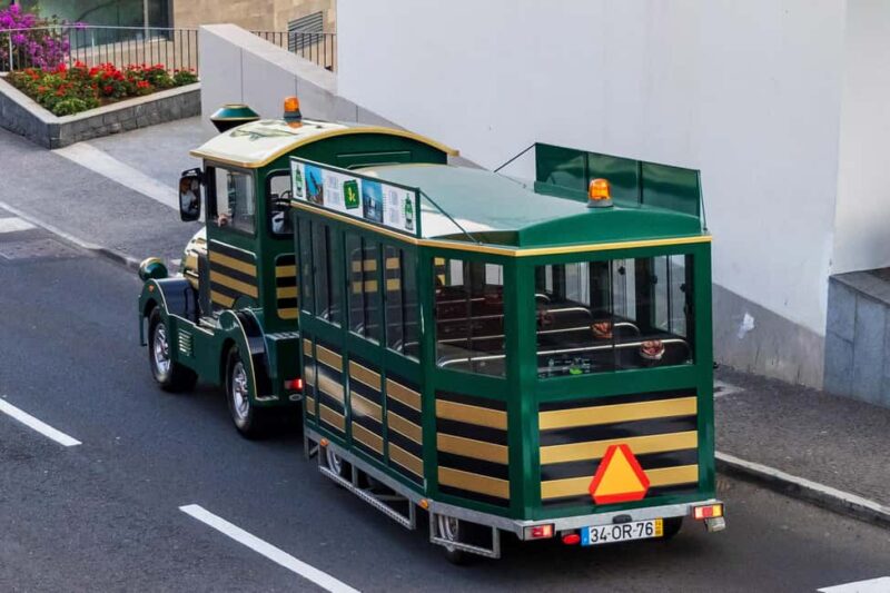 Madeira: Half day Tour to the highest seacliff of Europe - Madeira: Half day Tour to the highest seacliff of Europe