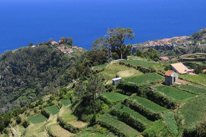 Madeira Highlights: Guided 4-Hour Tour from Funchal - Practical Details and Additional Fees