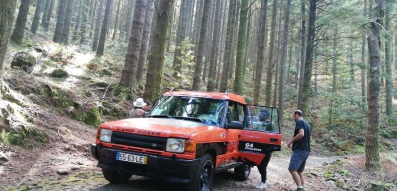 Madeira Island: Full-Day Guided Tour of Eastern Madeira - Coastal Views at Miradouro da Ponta do Rosto