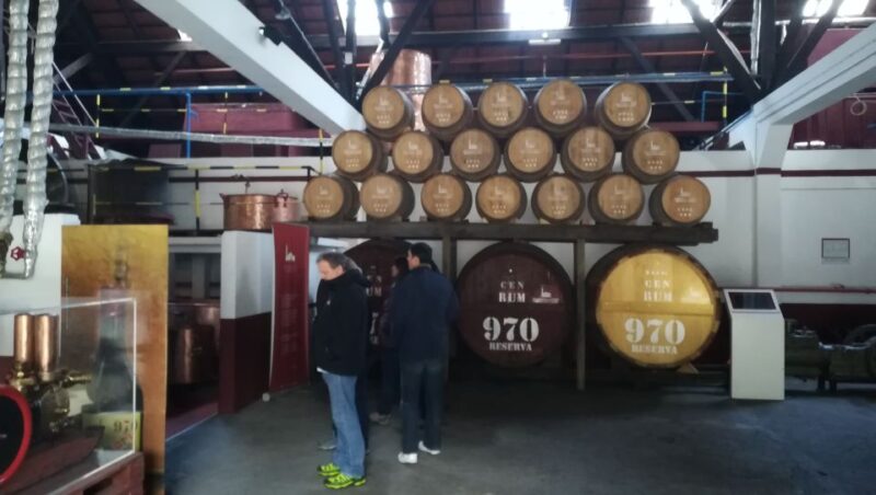 Madeira Island: Full-Day Guided Tour of Eastern Madeira - Concluding at Caniçal