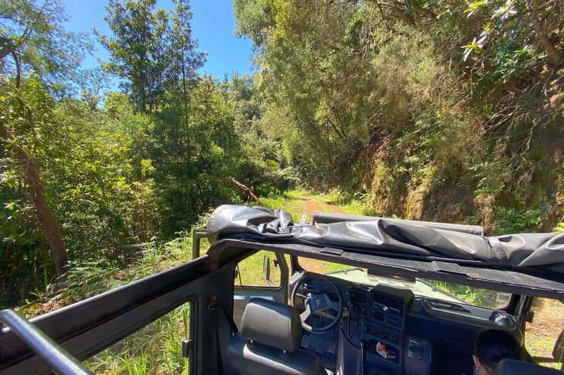 Madeira Island: Full Day Jeep Tour - Pico do Arieiro, East - Practical Details and Group Experience