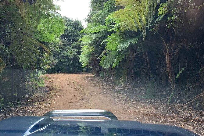 MADEIRA: Jeep Safari to Pico Arieiro & Santana local Houses - Guindaste Viewpoint – Spectacular North Coast Vistas