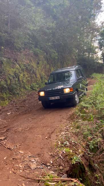 Madeira: Jeep Tour with Zipline, Swing, and Volcanic Pools - Logistics and Group Experience