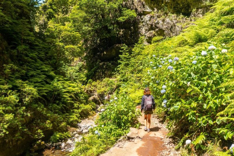 Madeira: Jungle Fever Levada Caldeirao Verde Hike Santana - Exploring the Laurasilva Forest and Levada Trail