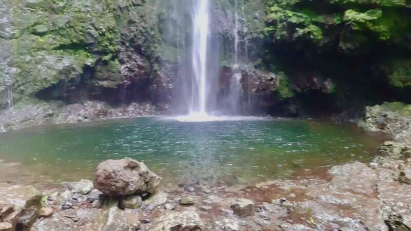 Madeira: Jungle Fever Levada Caldeirao Verde Hike Santana - Tasting Madeira’s Local Spirit: Poncha