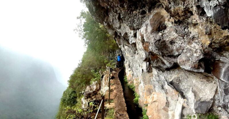Madeira: Jungle Fever Levada Caldeirao Verde Hike Santana - Physical Requirements and Accessibility