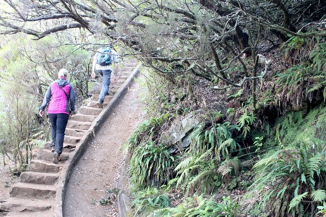 Madeira Lakes - Levada do Alecrim - Discovering Vento Lake and Waterfalls