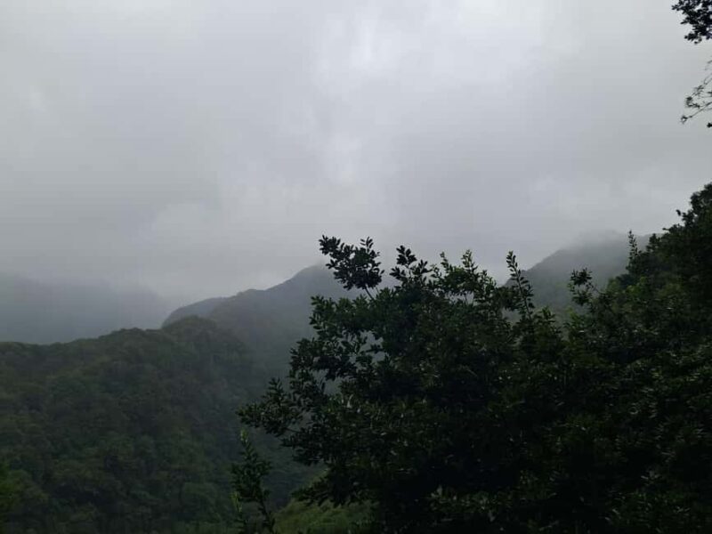 Madeira: Levada do Rei Guided Hike with Hotel Pickup - Explore Madeira’s Levada do Rei with Guided Expertise and Scenic Views