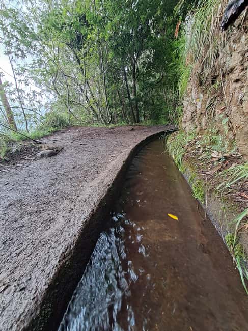 Madeira: Levada do Rei Guided Hike with Hotel Pickup - Key Points